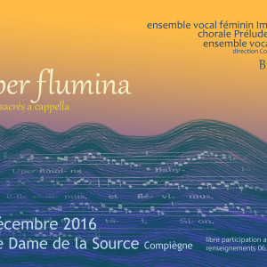 Concert Super Flumina